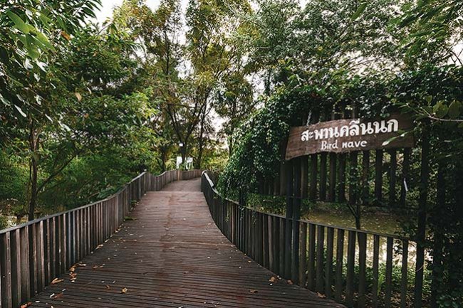 The Bird Wave Bridge