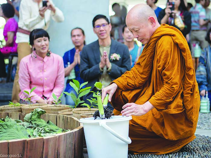 งานแต่งที่รบกวนโลกน้อยที่สุด