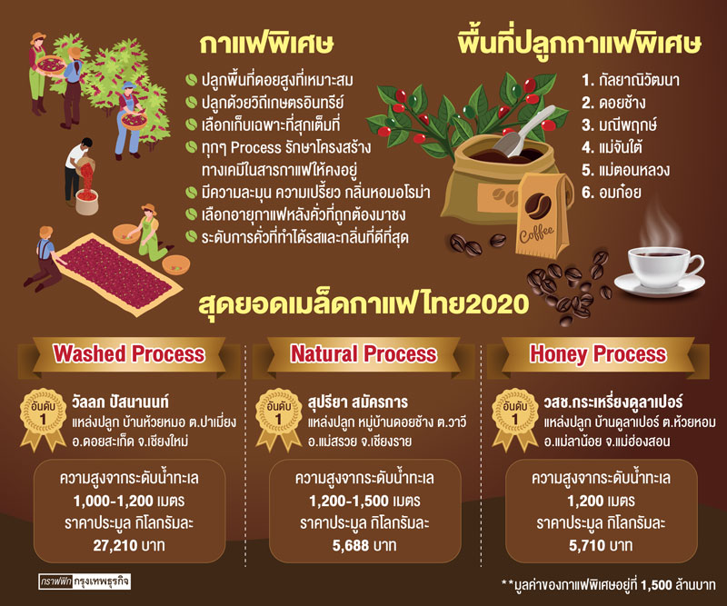 "กาแฟพิเศษไทย"ในตลาดโลก