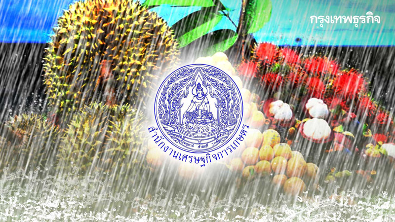 สศก.ชี้ฝนชุกทำผลไม้ตะวันออก ปี66ลด2.1%รวม1.63ล้านตัน