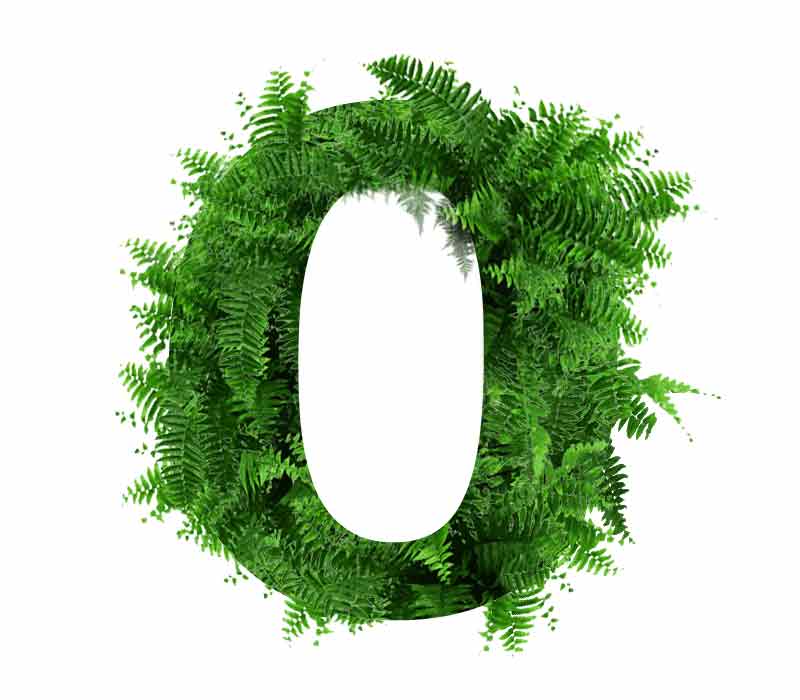 DECARBONIZATION