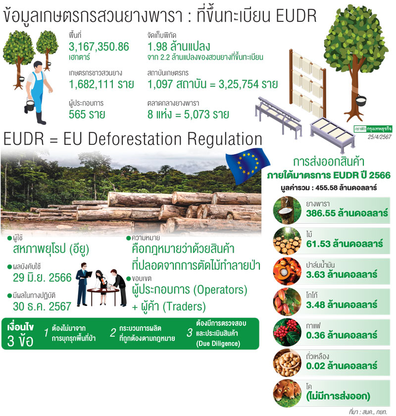 EUDR : กฎหมายสินค้าต้องไม่ทำลายป่า ‘6 กลุ่มส่งออกไทย’ผวาอียูบังคับใช้สิ้นปี 67