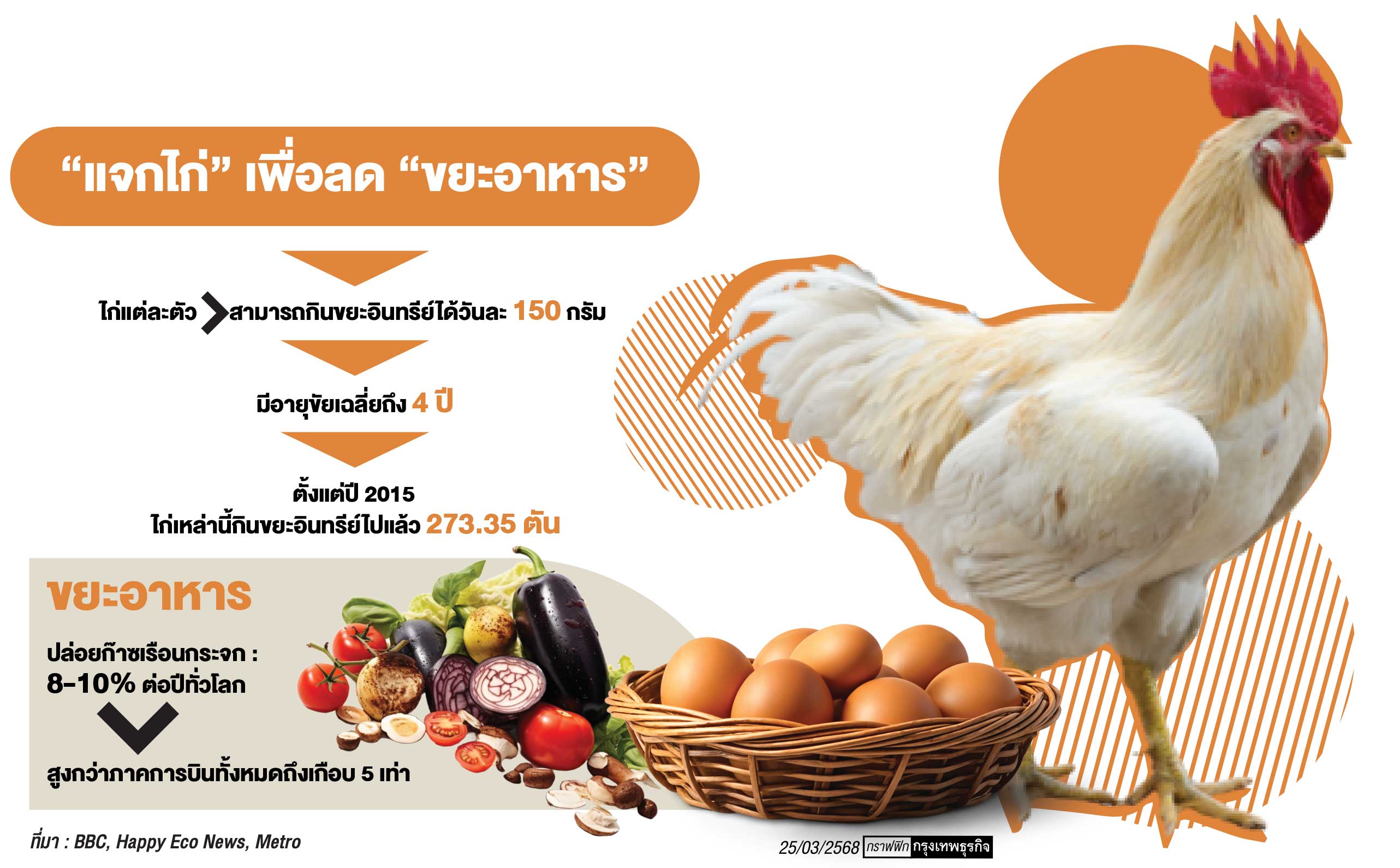 ฝรั่งเศส-เบลเยียม‘แจกไก่’ให้ประชาชน แก้ปัญหา‘ขยะอาหาร’มีไข่กินทั้งปี