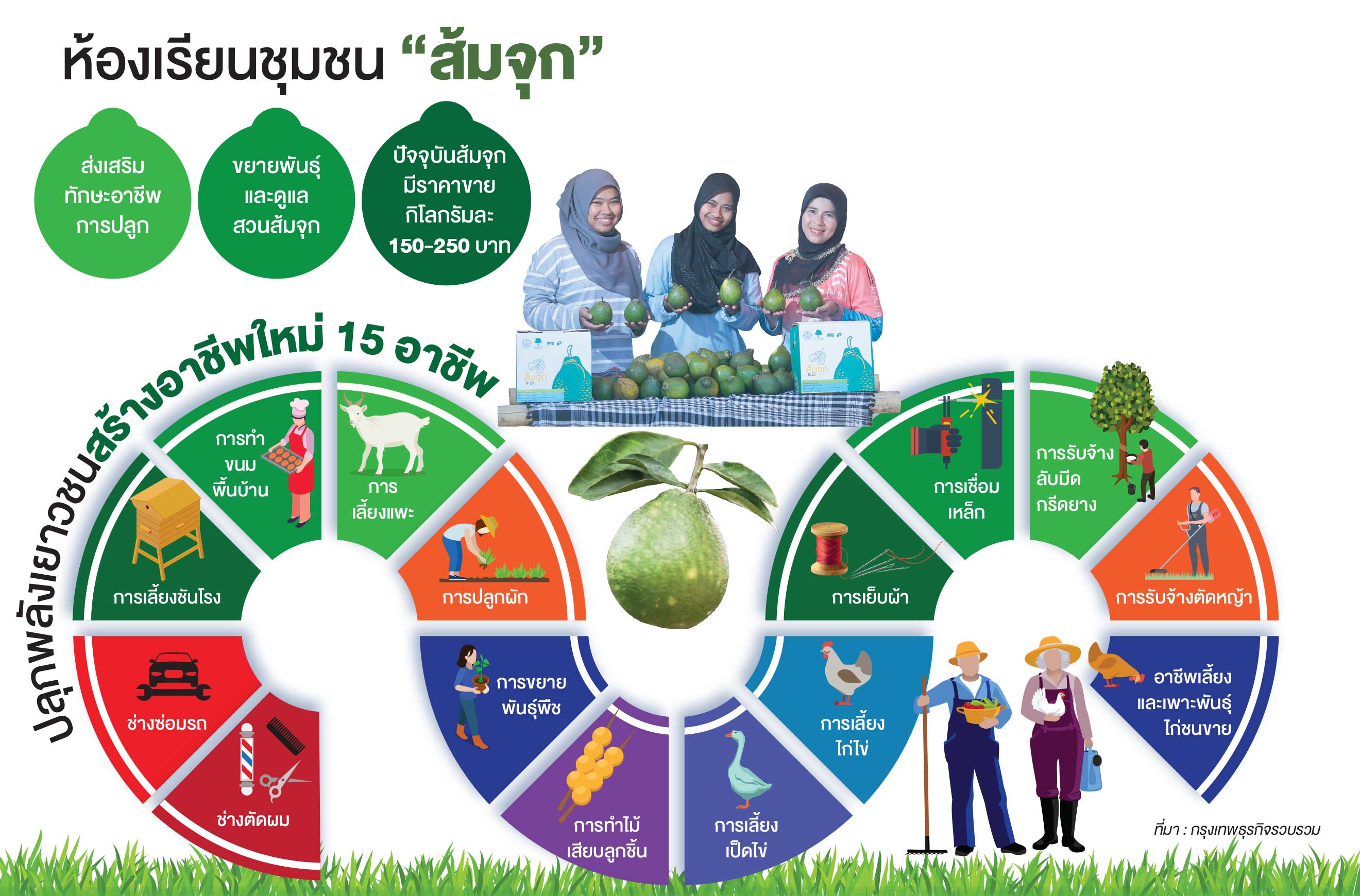 ‘ส้มจุก’ปลุกชีวิตชาวจะนะ สร้างอาชีพให้คนในชุมชน