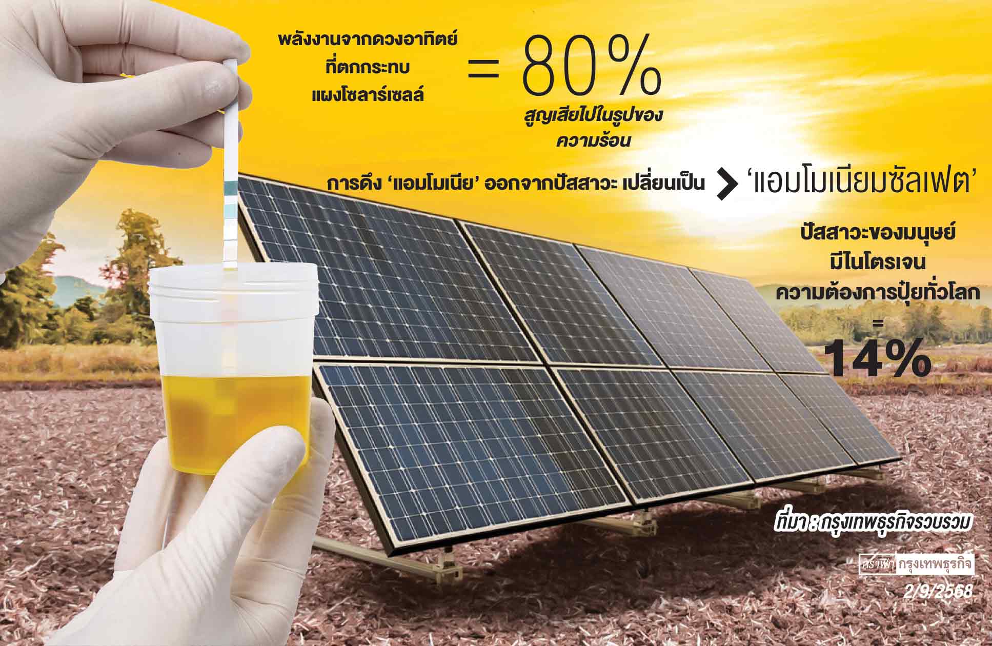 เปลี่ยนฉี่ให้เป็นปุ๋ย ด้วย ‘โซลาร์เซลล์’ ลดต้นทุน แก้ปัญหาน้ำเสีย