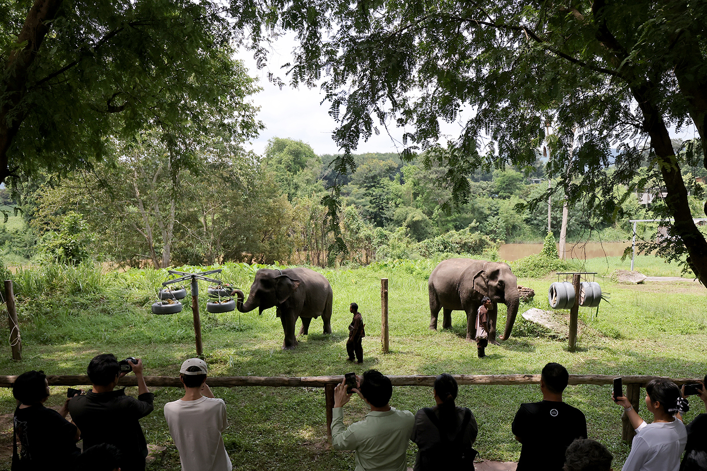 ‘เที่ยวปางช้างอย่างเป็นมิตร’ ไม่ขี่ช้าง ไม่อาบน้ำกับช้าง