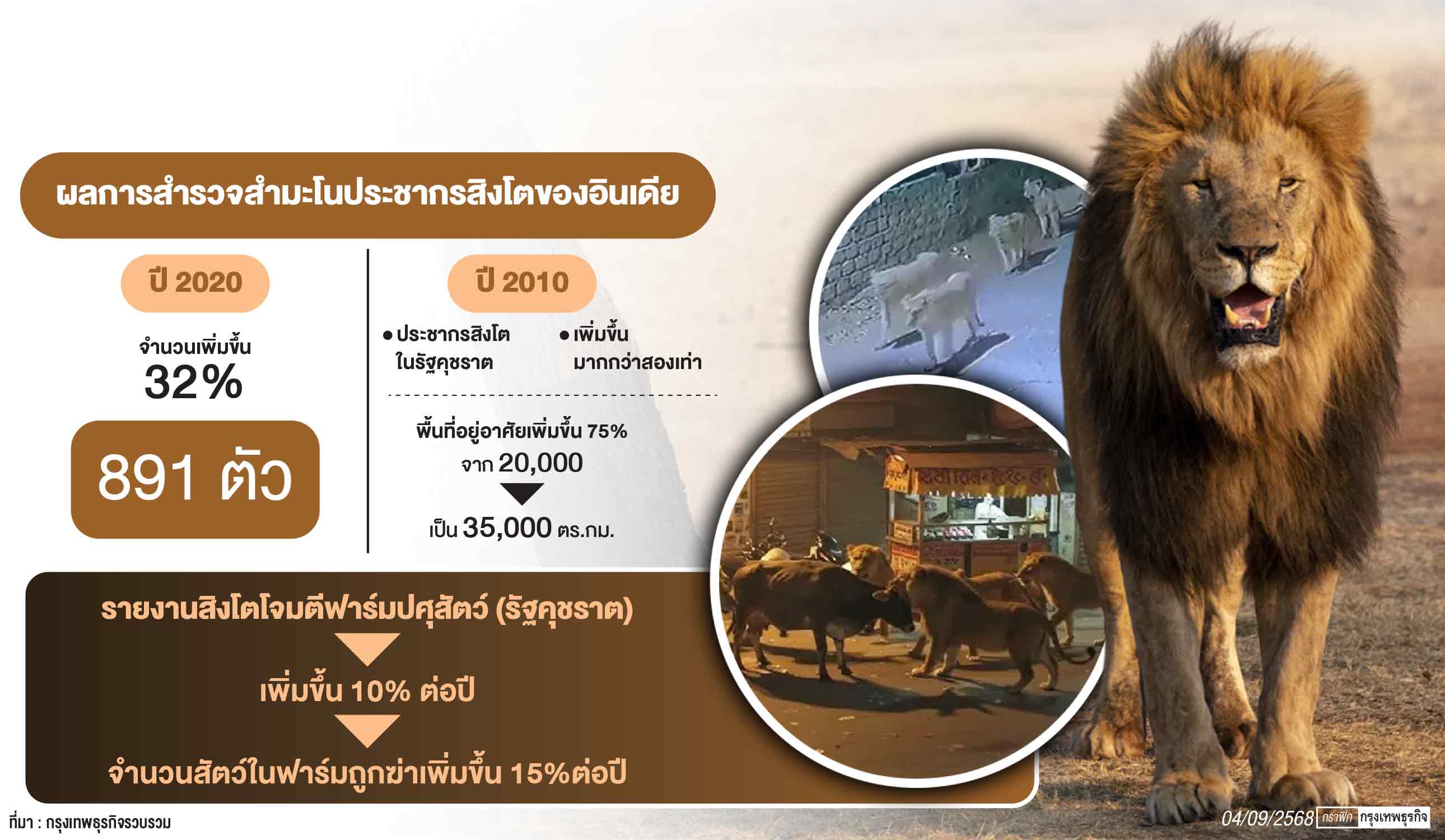 ‘อินเดีย’ มี ‘สิงโต’ มากเกินไป เดินเต็มเมือง หวั่นเกิดปัญหาระหว่างสัตว์และมนุษย์