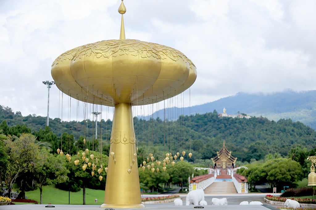 ความสุขบานสะพรั่ง ที่ ‘อุทยานหลวงราชพฤกษ์’