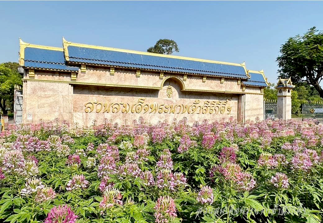 ‘สวนสมเด็จพระนางเจ้าสิริกิติ์’ ป่าเล็กในเมืองใหญ่