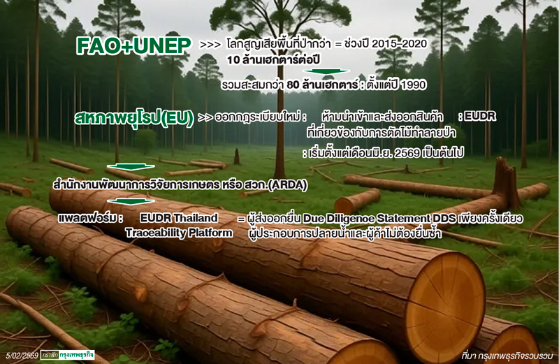 แพลตฟอร์มรับมือกฎ EUDR สินค้าไม่ทำลายป่า  ผู้ส่งออก'รายงาน-ได้ใบรับรอง' พร้อมลุยตลาดยุโรป