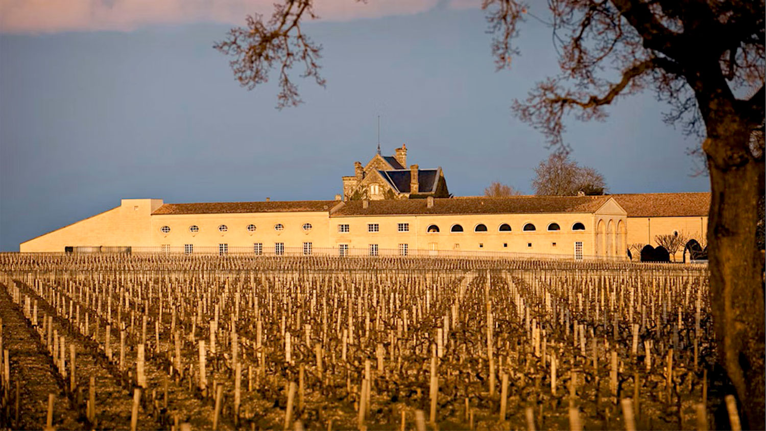 ‘ชาโต มูตง ฮร็อธส์ชิลด์’ ฉลากอมตะนิรันดร์กาล