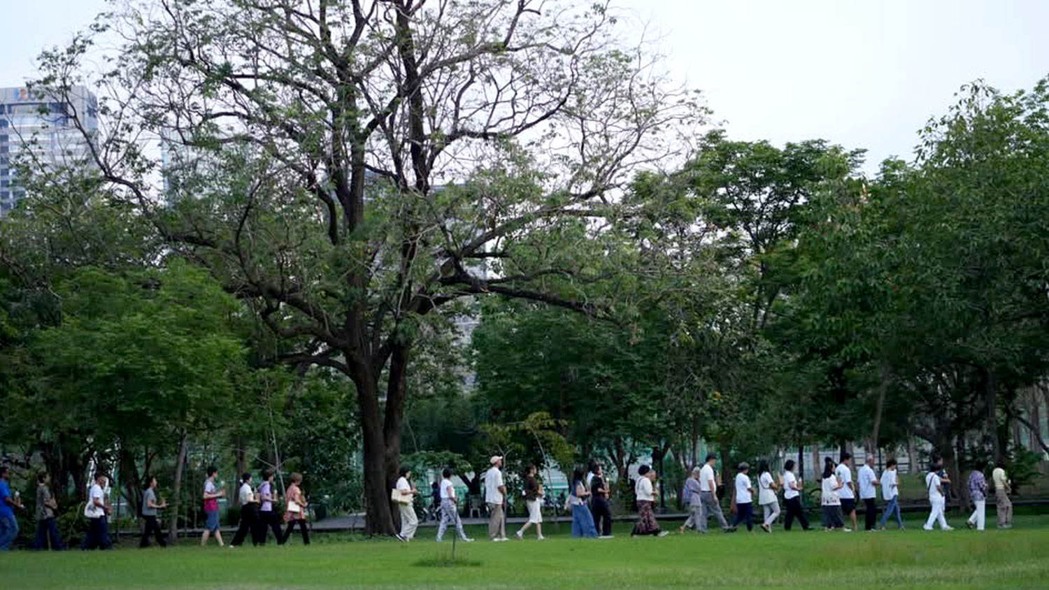 ‘เวียนเทียนด้วยต้นไม้’ ทำบุญวิถีใหม่วันวิสาขบูชา