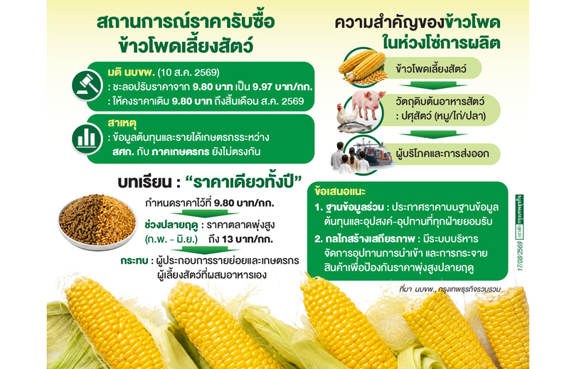 ร่วมออกแบบกลไกจัดการราคารับซื้อข้าวโพด    สู่เป้าหมาย'รายได้เกษตรกร-ห่วงโซ่การผลิต'อยู่รอด