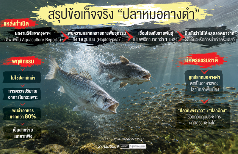 'ปลาหมอคางดำ' ไม่ใช่เอเลี่ยน  ความเข้าใจใหม่บนหลักฐานวิทยาศาสตร์