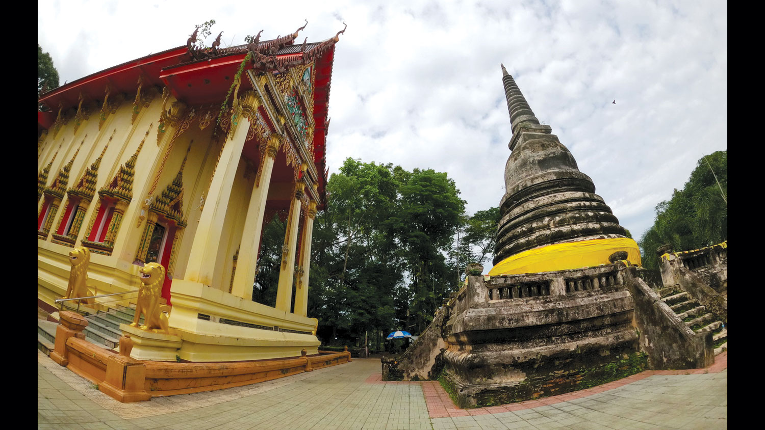 เที่ยวเพลิน... ‘เนินวง’ ชมสมบัติใต้ทะเล