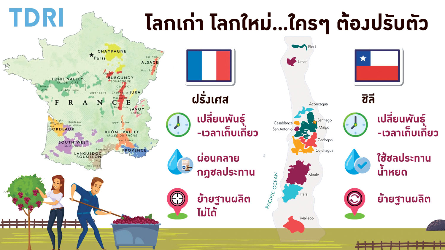 ‘โลกร้อนกับไวน์’  เมื่อธรรมชาติท้าทายมนุษย์